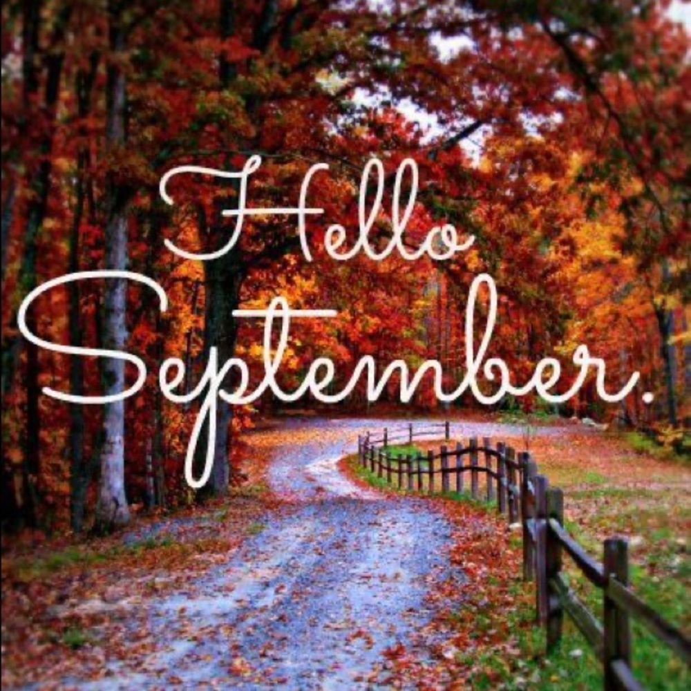Happy Fall 🍂